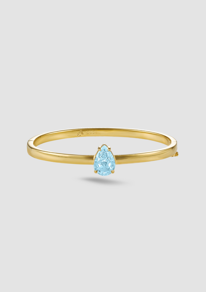 The December Tiffany Bangle